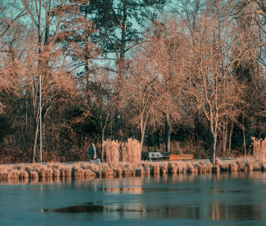 Promenade Hivernale