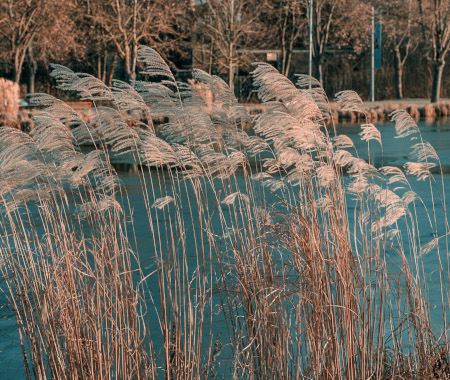 Entre Deux Souffles