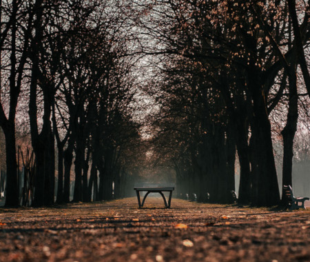 Le Portail Entre Deux Mondes