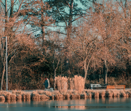 Promenade Hivernale