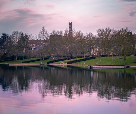 Reflets Au Parc Saint Pierre