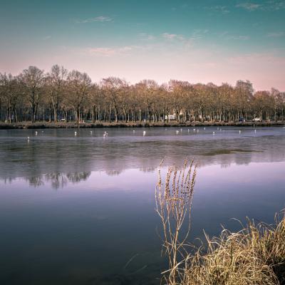 Echo silencieux de l'eau