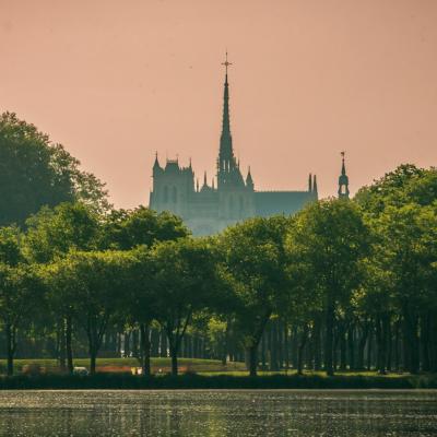 Matin doré au parc de la Hotoie
