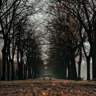 Portail entre deux mondes