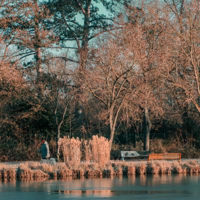 Promenade hivernale