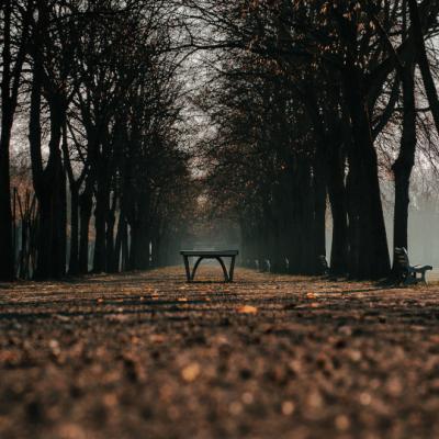 João Manuel - Parc de la Hotoie