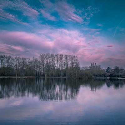 Reflets d'un matin paisible