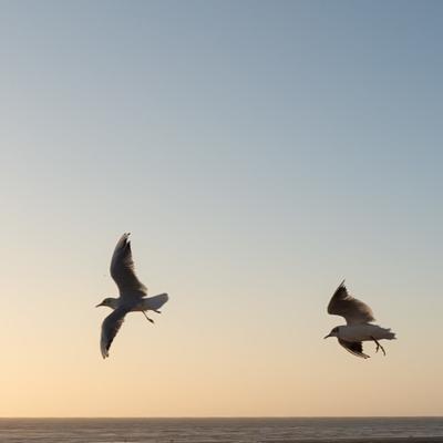 Bord de mer