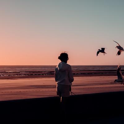 João Manuel - Bord de mer
