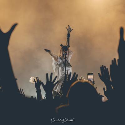 David Diruit Photographie Concert 13