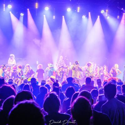 David Diruit Photographie Concert 6
