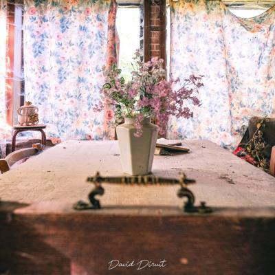 David Diruit Photographies Urbex 19