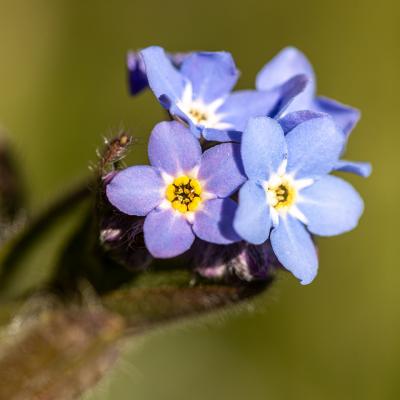 Img 0426