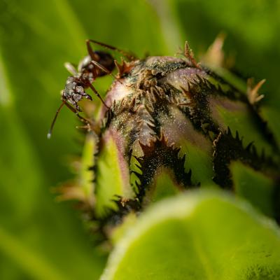 Img 0437