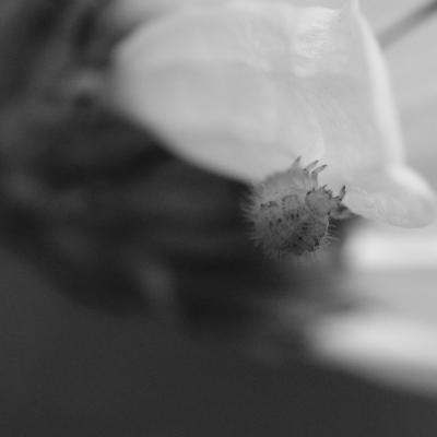 Dscf0835