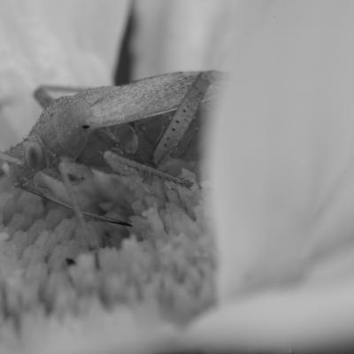 Dscf1421