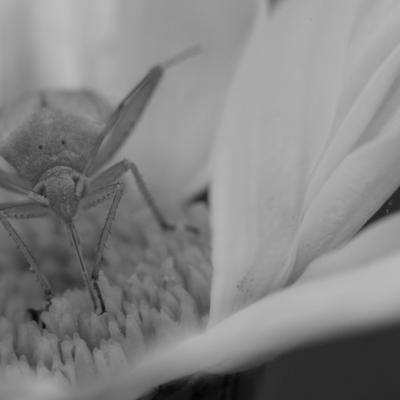 Dscf1485