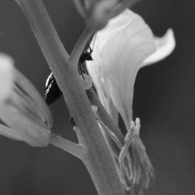 Dscf1513