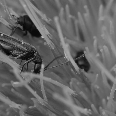 Dscf1548